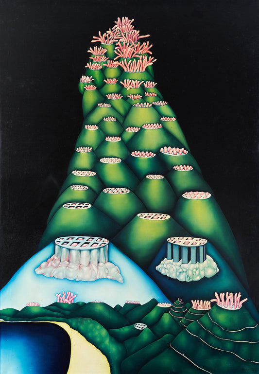 De Fata Morgana van de verschrikkelijke bergmens